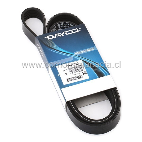 correa 4PK1170 DAYCO