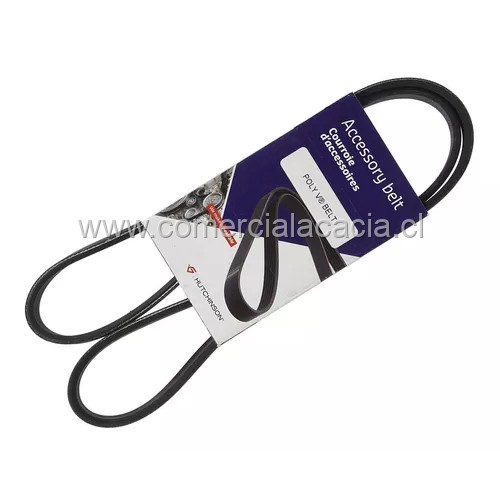 correa 5PK1020 HUTCHINSON