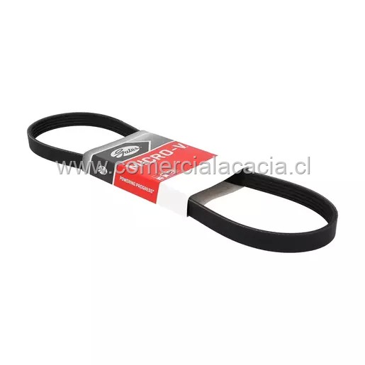correa 6PK2137 GATES